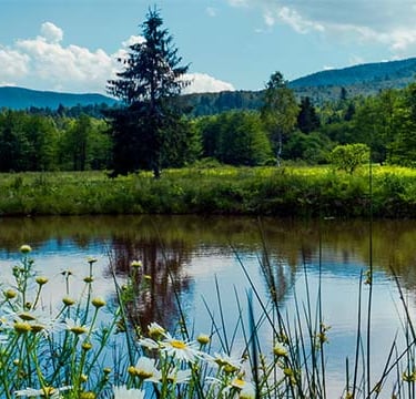Cabin in Catskills NY - Ultimate Escape from City Life - Orange Door Catskills