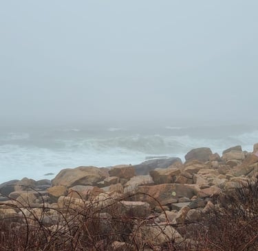 Bonnet Shores - Hidden Gem of Narragansett Rhode Island - Season
