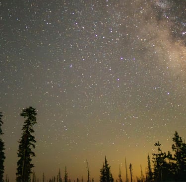 7 Unforgettable Experiences That Make a Catskills Cabin Vacation the Perfect Escape