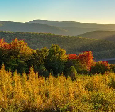 7 Reasons Why the Catskills Are Perfect for a Secluded Cabin Vacation