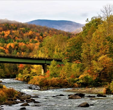 7 Reasons Why the Catskills Are Perfect for a Secluded Cabin Vacation