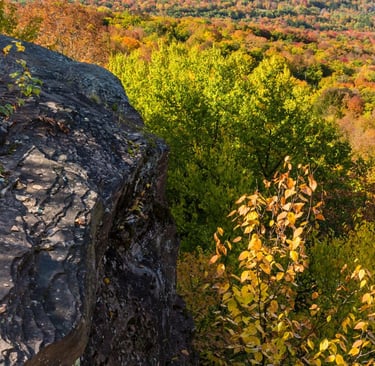 7 Reasons Why the Catskills Are Perfect for a Secluded Cabin Vacation