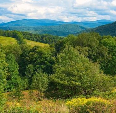 7 Unforgettable Experiences That Make a Catskills Cabin Vacation the Perfect Escape