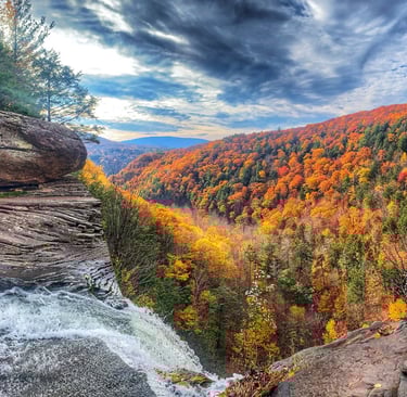 7 Unforgettable Experiences That Make a Catskills Cabin Vacation the Perfect Escape