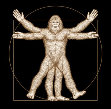 Vintage Vitruvian Bigfoot illustration inspired by Da Vinci in sketch style.