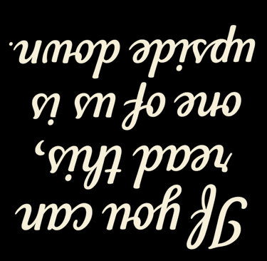 Upside-down funny shirt text that reads “If you can read this, one of us is upside down.”