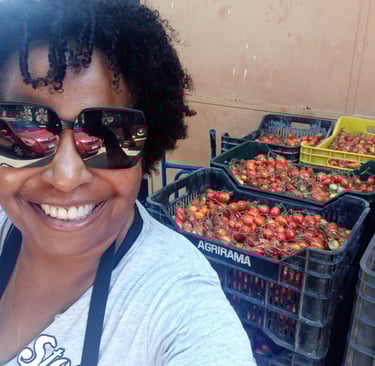 Tomato farm
