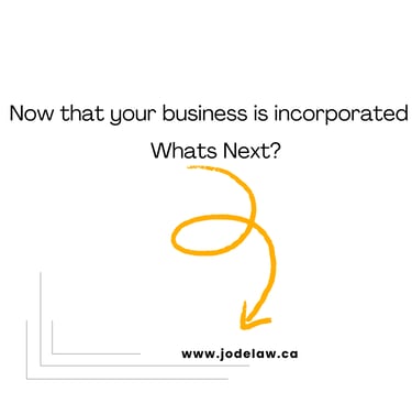 What should I do after I incorporate my business in Ontario? Jumi ODepe, Toronto business lawyer