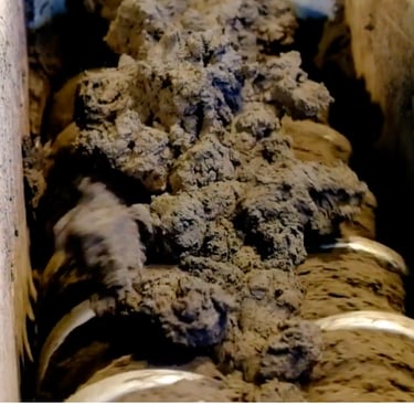 Municipal sludge drying in paddle dryer for waste-to-energy conversion