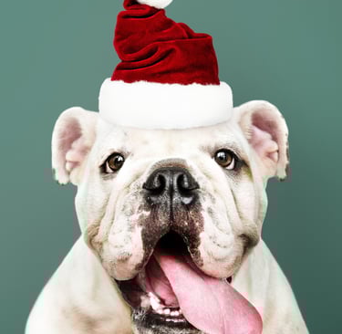<a href="https://www.freepik.com/free-photo/portrait-cute-bulldog-puppy-wearing-santa-hat_3532491.ht