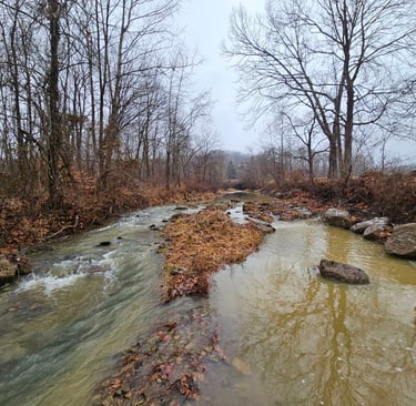 serene recovery environment