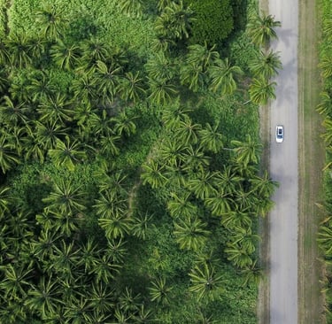 Carbon Credits and Renewable Energy Cetificates