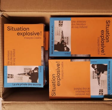 Exemplaires de "Situation explosive !" en cartons