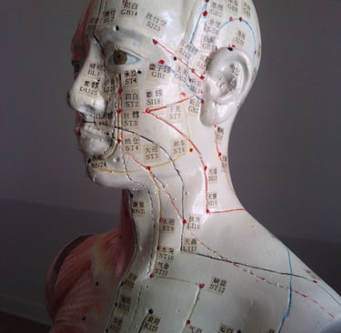 Marc DENOZI méridiens d'acupuncture