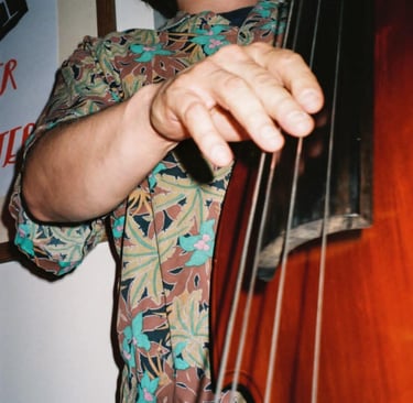 contrebasse qui est celle du groupe Garçon! qui propose chansons et rockToulouse Lot Périgord