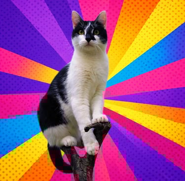 Elvis : Leader dans l'âme