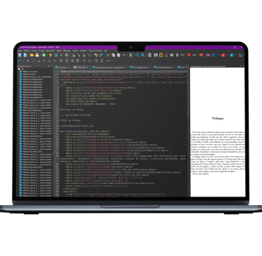 Intégration des métadonnées dans la conception d'un livre numérique numérique au format EPUB 3