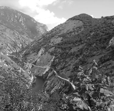 Gole del Sagittario Parco Nazionale d'Abruzzo (AQ)