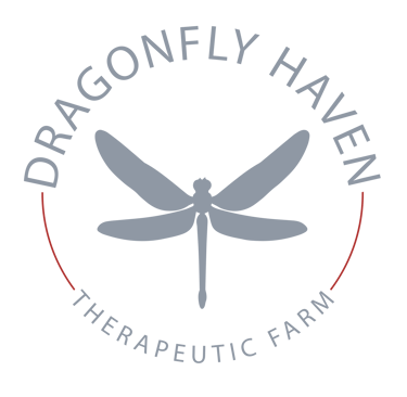 a dragonfly logo for the dragonfly haven therapeutic farm