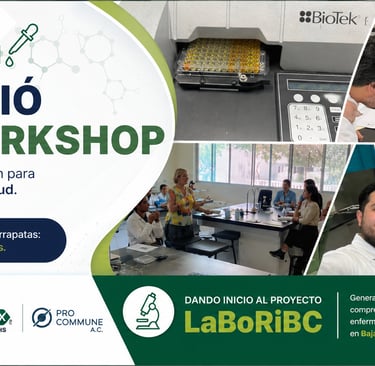 Banner de workshop en UABC