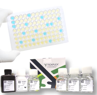 paquete completo de Tiplex