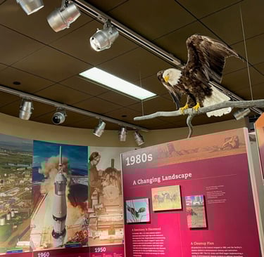 Smithsonian