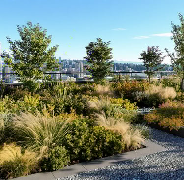 Rooftop Garden