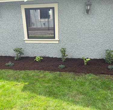 Planted garden bed
