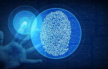 Digital security interface representing secure compliance software infrastructure