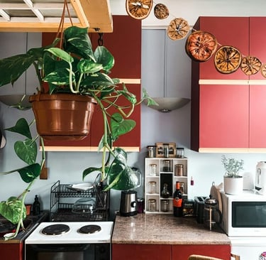 Modern kitchen with freshly painted cabinets for a clean updated look.