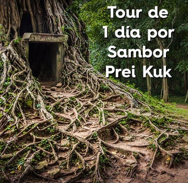 Tour 1 día Sambor Prei Kuk