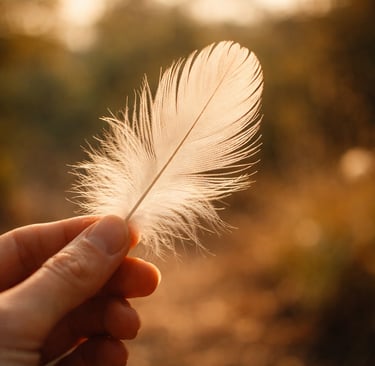 Plume blanche en gros plan dans une lumière naturelle douce