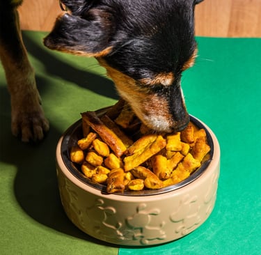Dog eating nutritious plant-based dog food