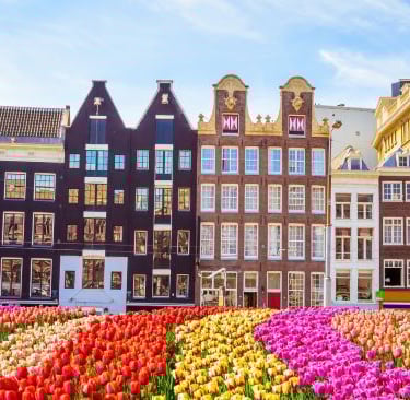 Amsterdam - a flower bed of tulips in front of a building