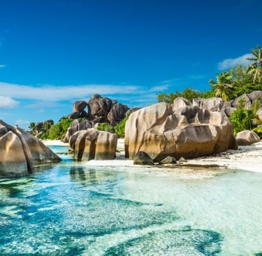 a beach with rocks and water