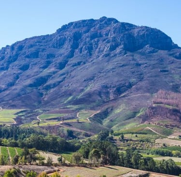 a mountain view of a valley with a few trees