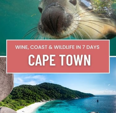 2 pictures in one of a seal lion and a beautiful tropical beach and sea
