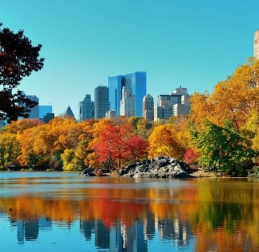 nyc city skyline with skyscrapers and trees in the background