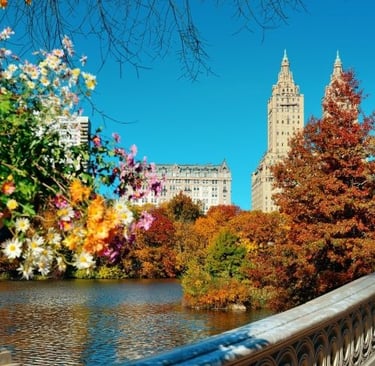 Central Park in New York