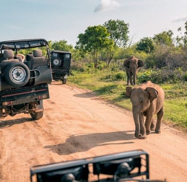 a jeep with people in a jeep driving down a dirt road