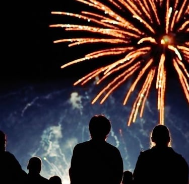 people watching fireworks in the night sky