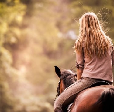 a woman riding a horse in the woods
