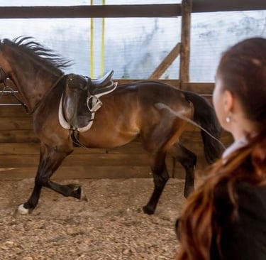 a woman riding a horse in a stable