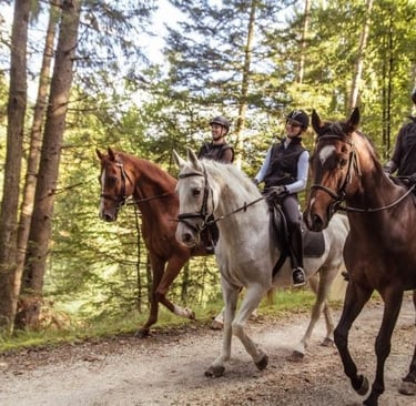 a group of people riding horses down a dirt road