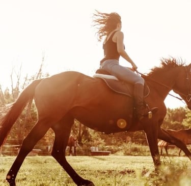 a woman riding a horse in the sun