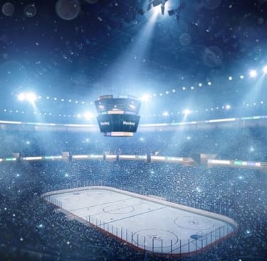 a hockey player is playing in a stadium