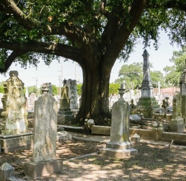 Historic stone headstones and monuments in a cemetery under the shade of a large oak tree.