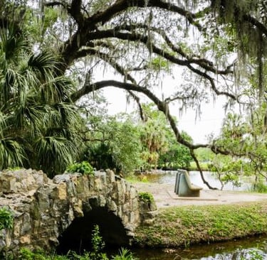 NEW ORLEANS - a bench with a bench and a bench in the background
