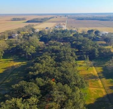 oak alley - a large field with a lot of trees and a few houses