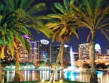 orlando skyline with palm trees and buildings